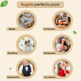 Caja 12 Essential